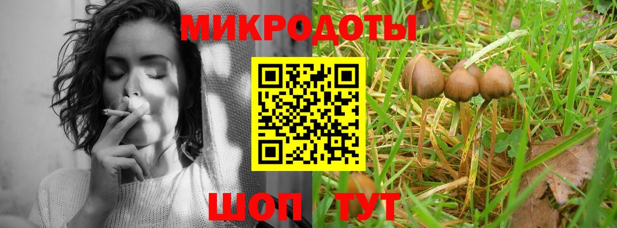 Галлюциногенные грибы мухоморы Карталы